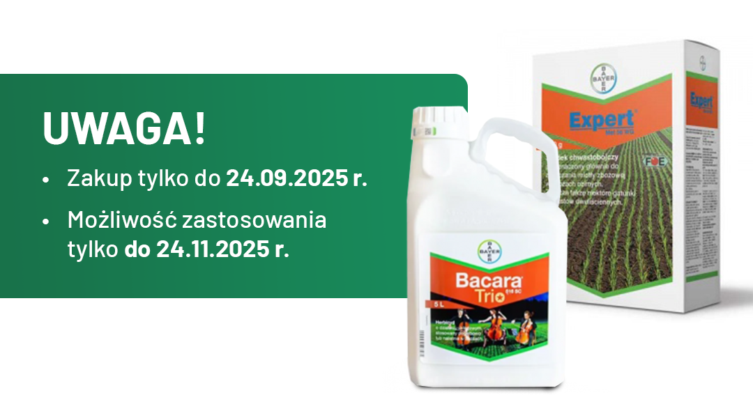 wizualizacja dwóch produktów na bazie metrybuzyny