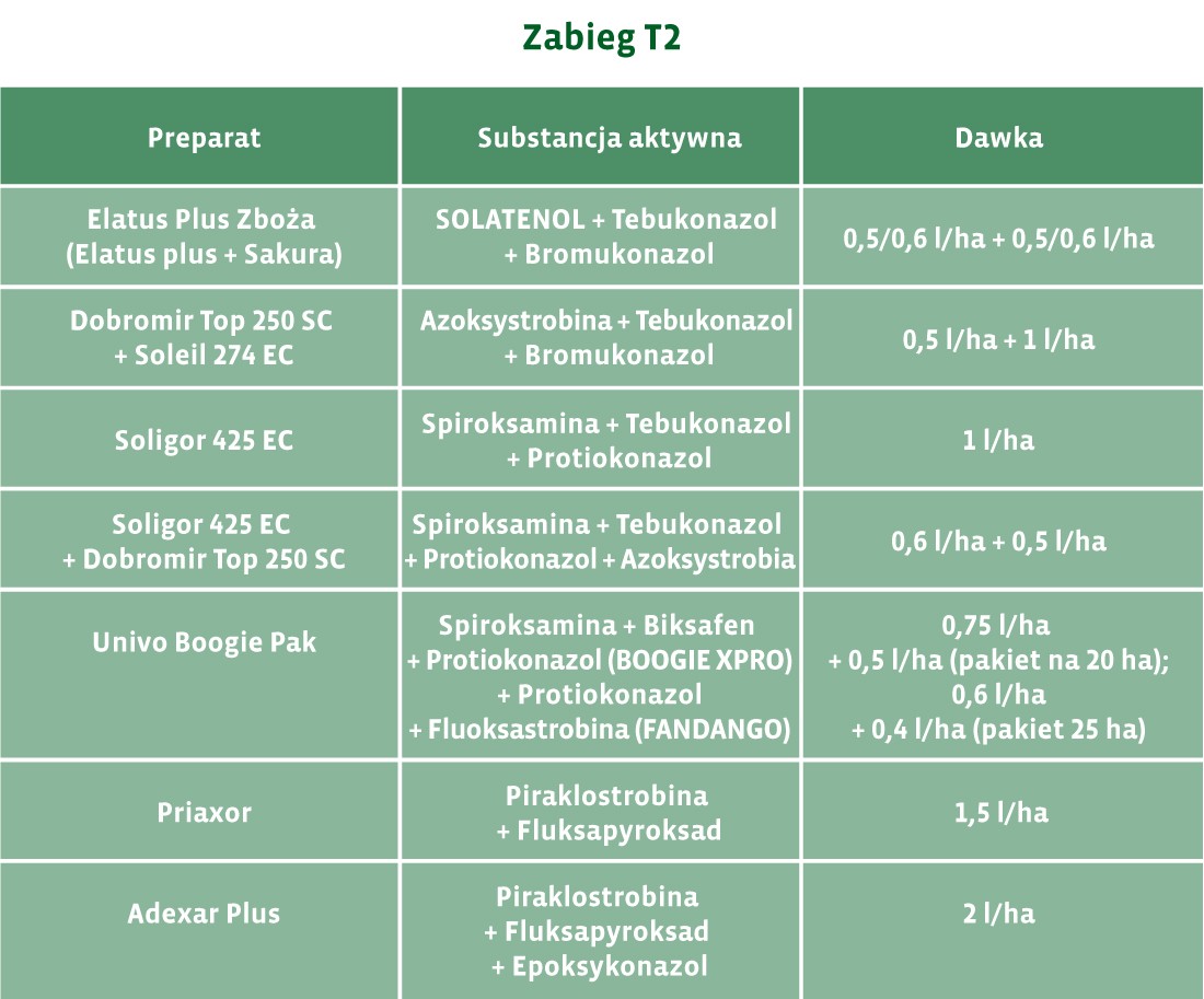 Tabela zabiegów w fazie T2