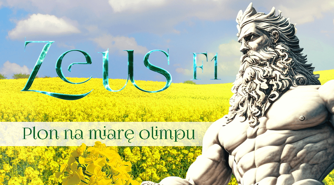 Grafika nawiązująca do reklamy Zeus F1