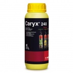 Caryx 240 SL