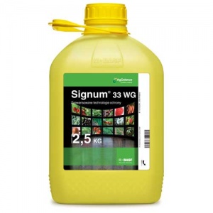 Signum 33 WG