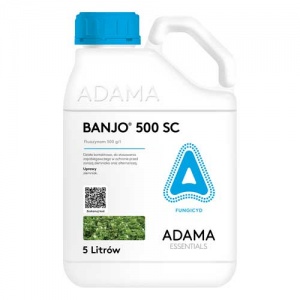 Banjo 500 SC