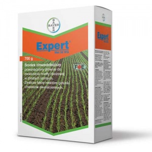 Expert Met 56 WG