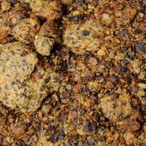 Śruta rzepakowa