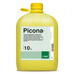 Picona