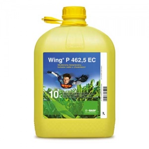 Wing P 462,5 EC