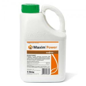 Maxim Power