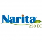 Narita 250 EC