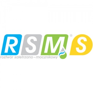 RSM S