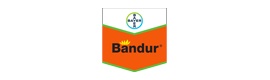 Bandur 600 SC