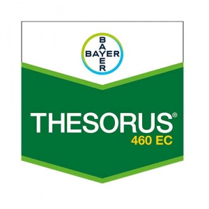 Thesorus 460 EC