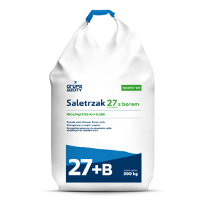 Saletrzak z borem 27+B standard