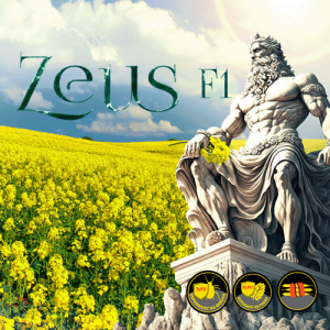 Zeus F1
