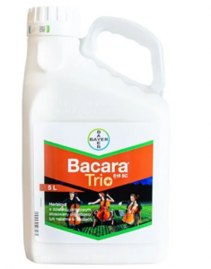 Bacara Trio 516 SC