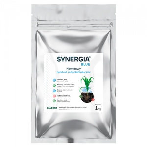 Synergia Blue