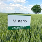 Misterio