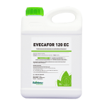 Evecafor 120 EC