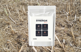 Praktyczne zastosowanie Synergia Split na słomę w połączeniu z nawozami azotowymi
