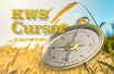 Żyto KWS Cursor - kurs na obfite plony!