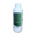 Sirionowa