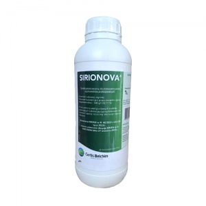 Sirionowa